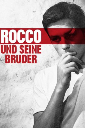 Rocco und seine Brüder poster