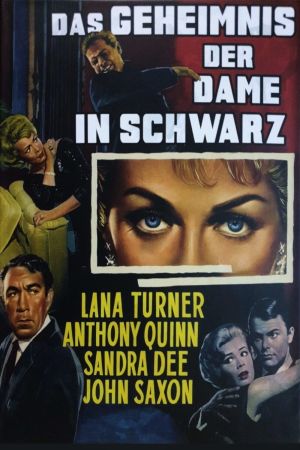 Das Geheimnis der Dame in Schwarz hdfilme stream online