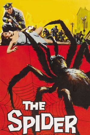 Die Rache der schwarzen Spinne hdfilme stream online