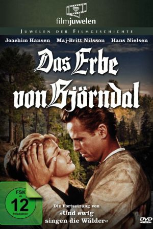 Das Erbe von Björndal poster