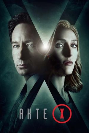 Akte X - Die unheimlichen Fälle des FBI poster