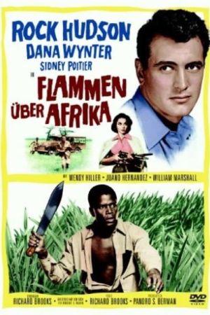 Flammen über Afrika poster