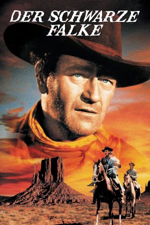 Der schwarze Falke poster