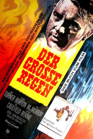 Der große Regen poster