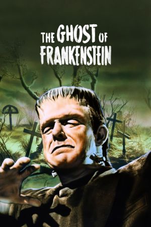 Frankenstein kehrt wieder poster