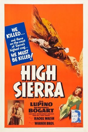 Entscheidung in der Sierra poster