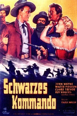 Schwarzes Kommando poster