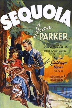 Sequoia - Herrin der Wildnis hdfilme stream online