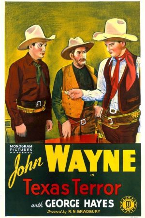 Abenteuer in Texas poster