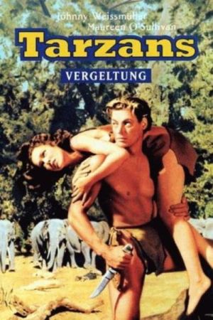 Tarzans Vergeltung poster
