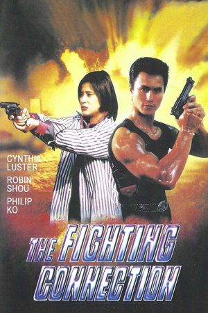 Fighting Connection poster