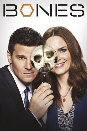 Bones - Die Knochenjägerin hdfilme stream online