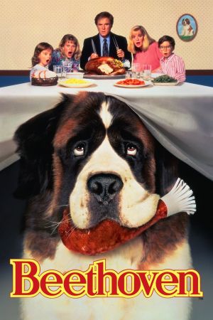 Ein Hund namens Beethoven poster