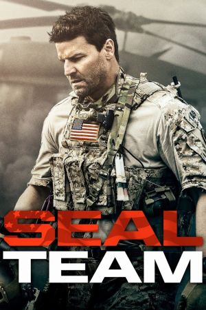 SEAL Team poster