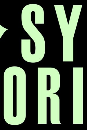 Lip Sync Stories poster