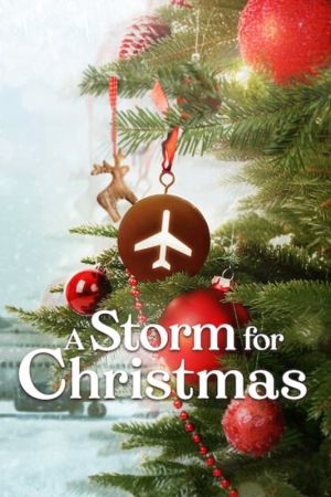 Ein Sturm zu Weihnachten hdfilme stream online