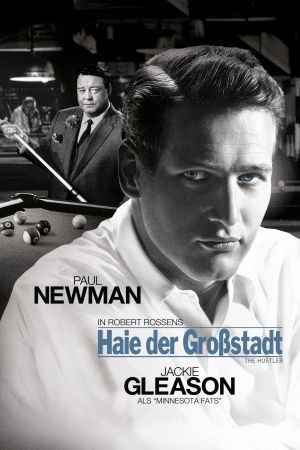 Haie der Großstadt poster