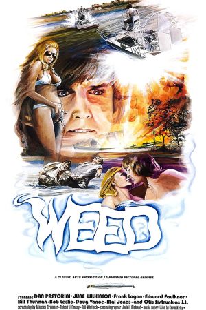 The Florida Connection poster
