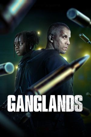 Im Auge des Wolfes - Die Serie poster
