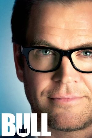 Bull poster