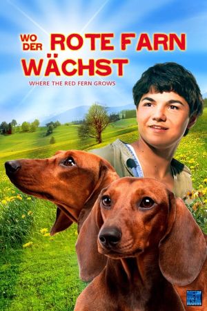 Wo der rote Farn wächst poster