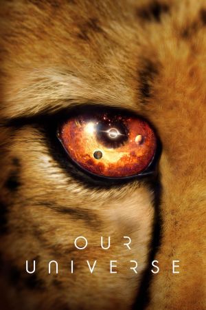 Das Universum poster