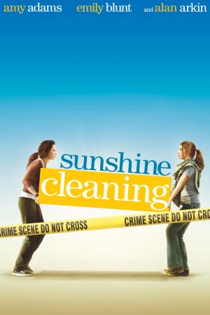 Sunshine Cleaning poster