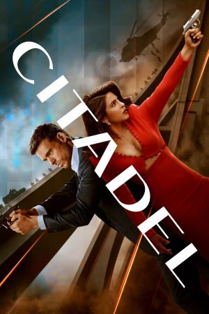 Citadel poster