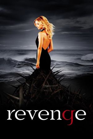 Revenge poster