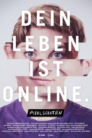 Pixelschatten poster