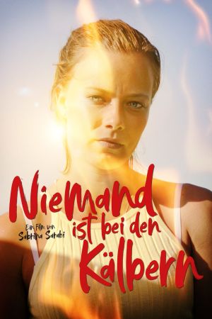 Niemand ist bei den Kälbern poster