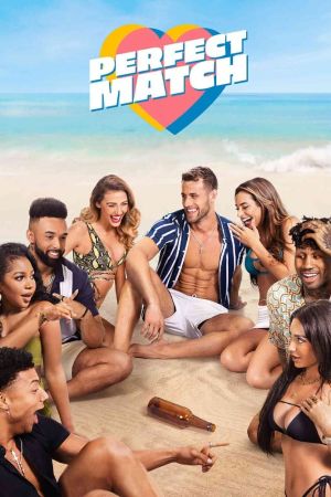Perfect Match poster