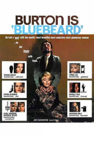 Blaubart poster