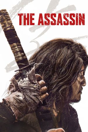 The Assassin poster