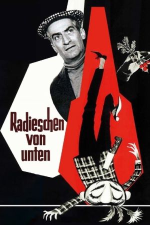 Radieschen von unten poster