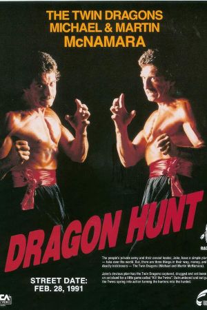 Dragon Hunt poster