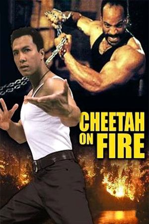 Cheetah on Fire hdfilme stream online