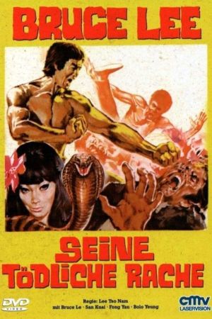 Bruce Lee - Seine tödliche Rache poster