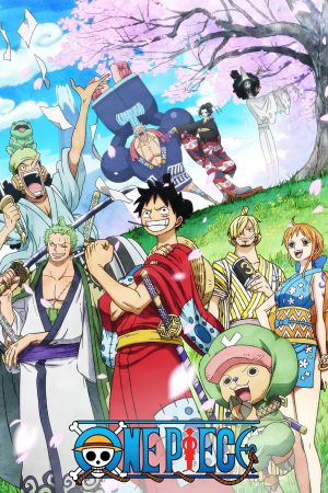 One Piece (Seasons 1-8) poster