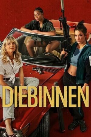 Diebinnen poster