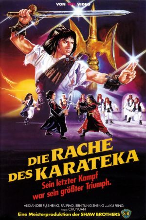 Die Rache des Karateka hdfilme stream online