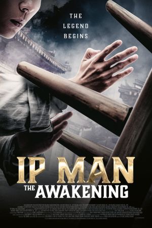 Ip Man: The Awakening poster