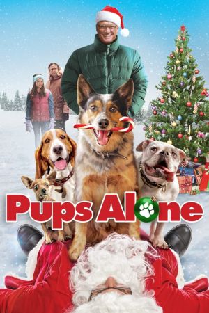 Hunde - Allein zu Haus poster