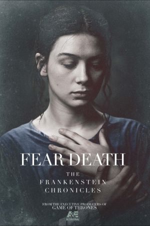 The Frankenstein Chronicles poster