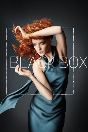 Black Box hdfilme stream online