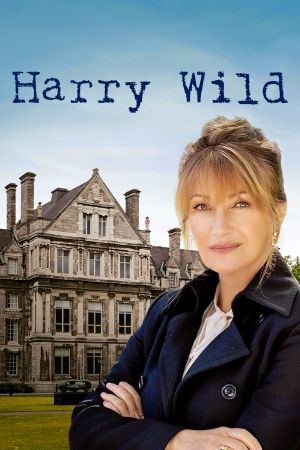 Harry Wild - Mörderjagd in Dublin poster