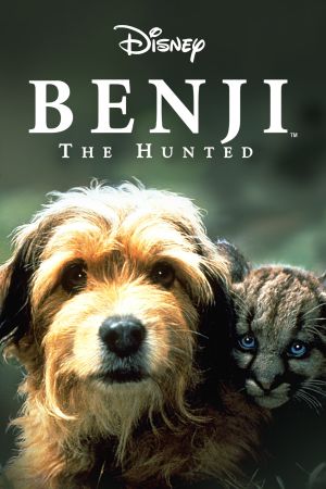 Benji, sein größtes Abenteuer poster