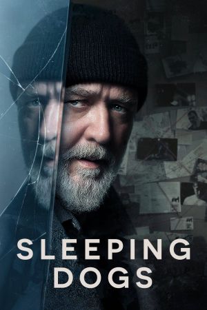 Sleeping Dogs poster