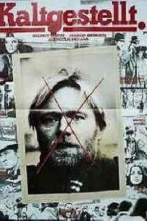Kaltgestellt poster