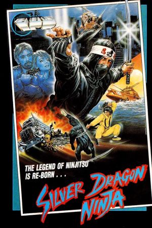 Ninja Challenge poster